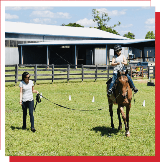 A woman is leading a horse around the yard